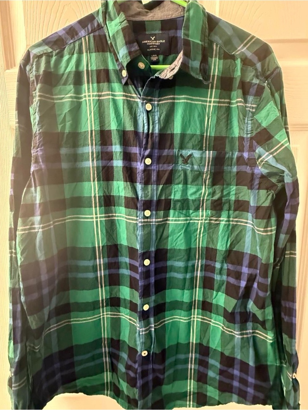 American Eagle Outfitters Green and Blue Plaid Button-Down Shirt